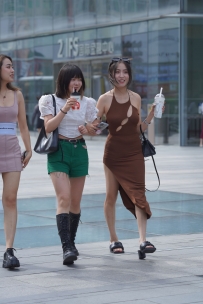 【精选街拍】Vol.2859 棕色修身裙 [242P-2.77GB]